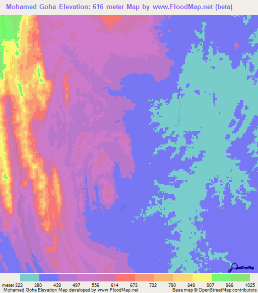 Mohamed Goha,Tanzania Elevation Map