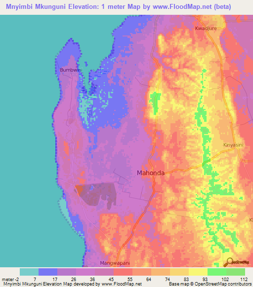 Mnyimbi Mkunguni,Tanzania Elevation Map