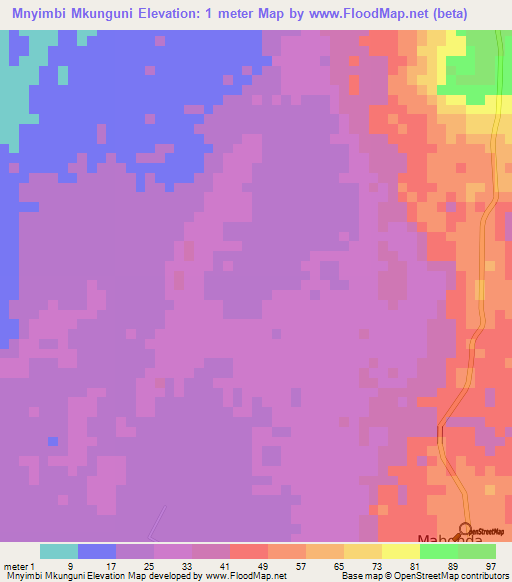 Mnyimbi Mkunguni,Tanzania Elevation Map