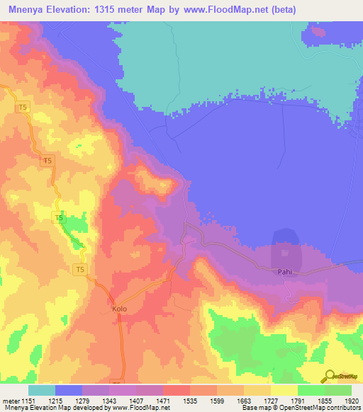 Mnenya,Tanzania Elevation Map