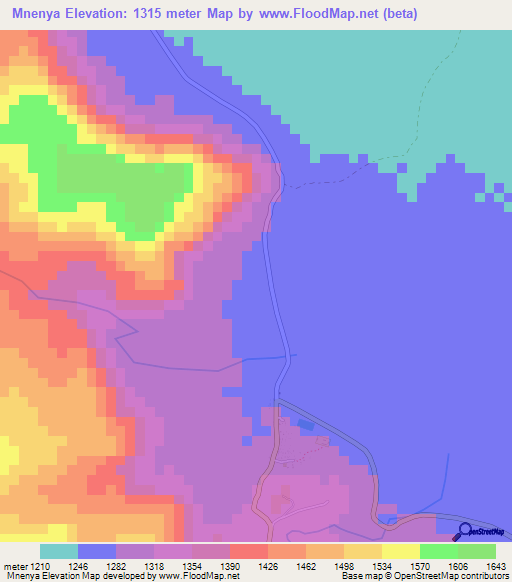 Mnenya,Tanzania Elevation Map