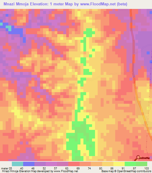 Mnazi Mmoja,Tanzania Elevation Map