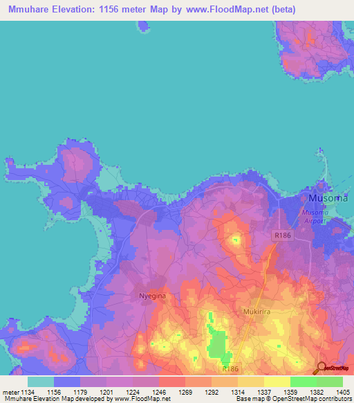 Mmuhare,Tanzania Elevation Map