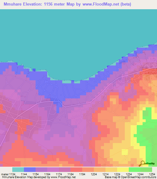 Mmuhare,Tanzania Elevation Map