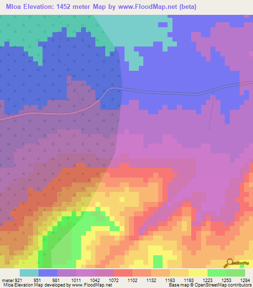 Mloa,Tanzania Elevation Map