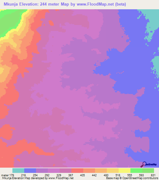 Mkunja,Tanzania Elevation Map