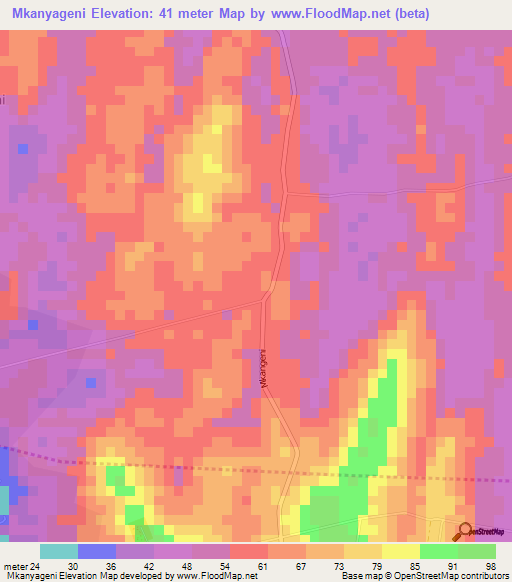 Mkanyageni,Tanzania Elevation Map