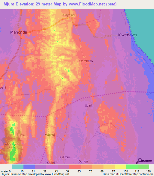 Mjura,Tanzania Elevation Map