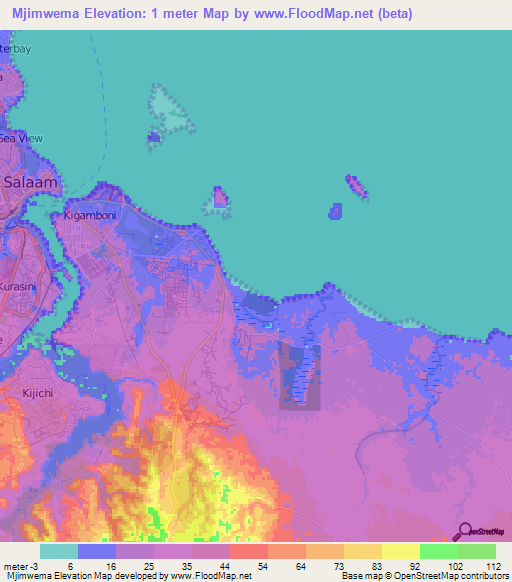 Mjimwema,Tanzania Elevation Map