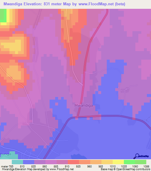 Mwandiga,Tanzania Elevation Map