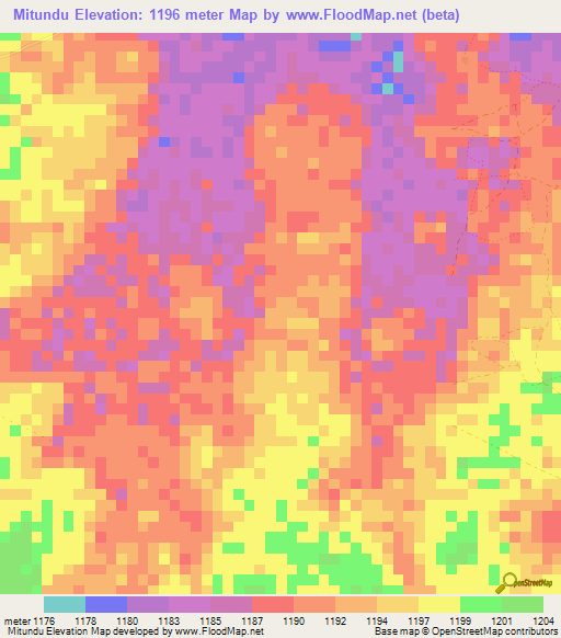 Mitundu,Tanzania Elevation Map