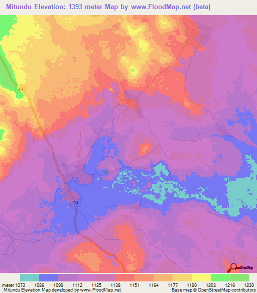 Mitundu,Tanzania Elevation Map