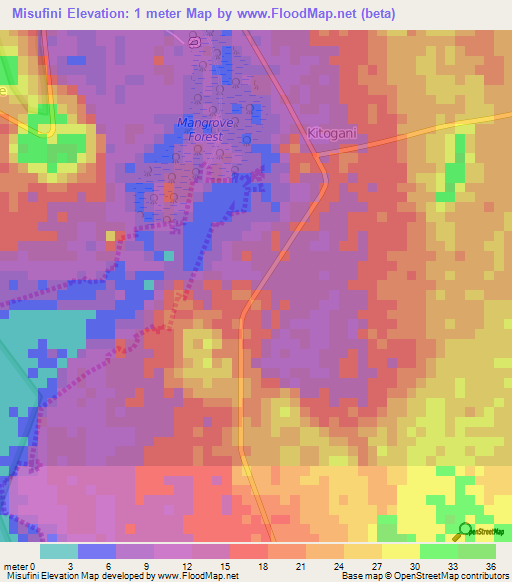 Misufini,Tanzania Elevation Map