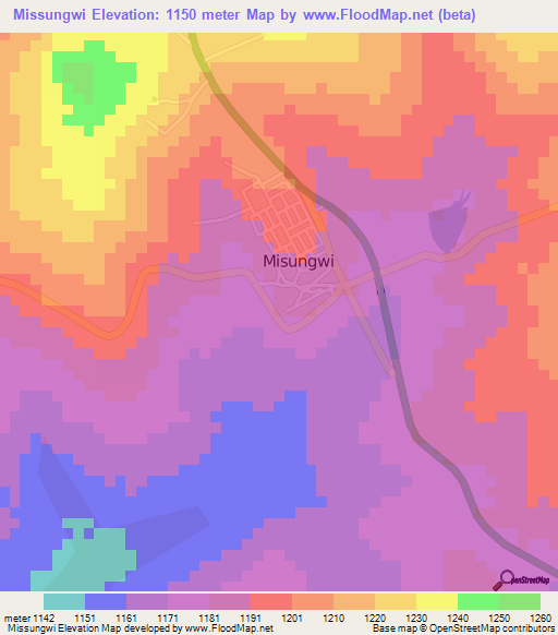 Missungwi,Tanzania Elevation Map