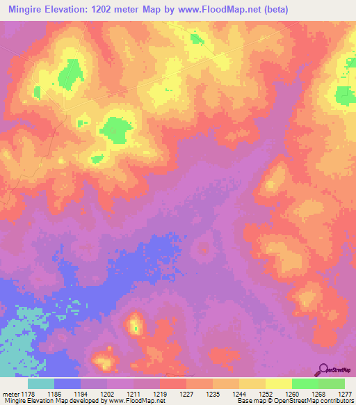 Mingire,Tanzania Elevation Map