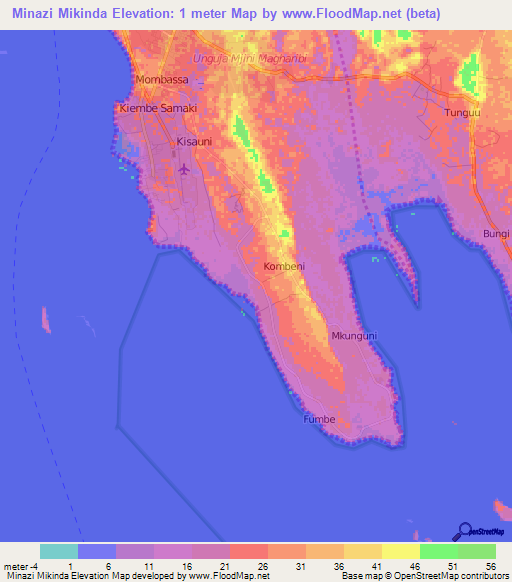 Minazi Mikinda,Tanzania Elevation Map