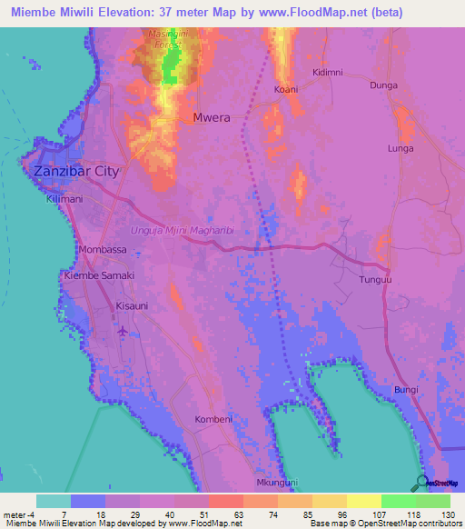 Miembe Miwili,Tanzania Elevation Map