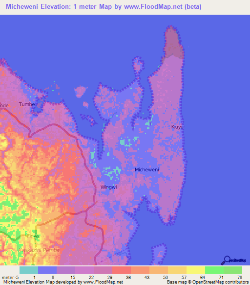 Micheweni,Tanzania Elevation Map