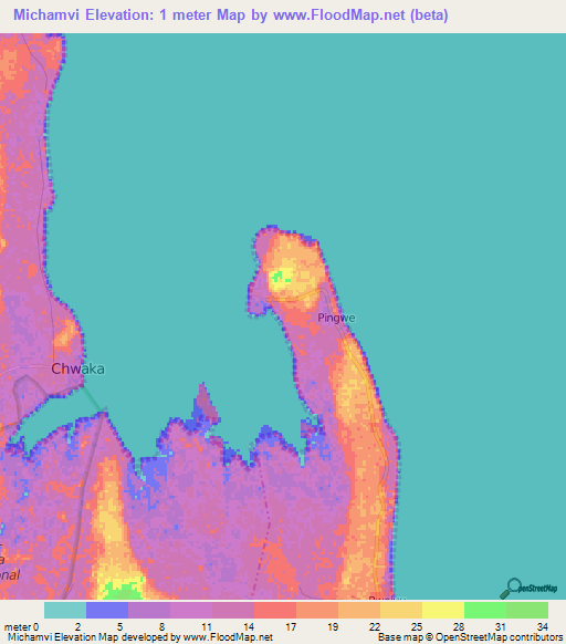 Michamvi,Tanzania Elevation Map