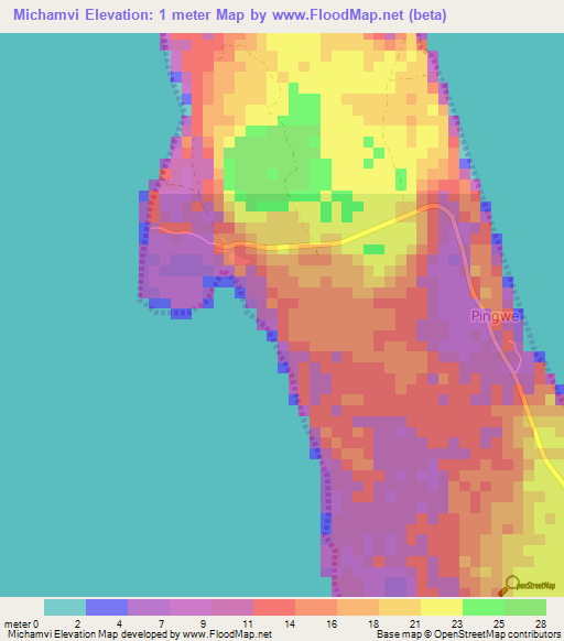 Michamvi,Tanzania Elevation Map