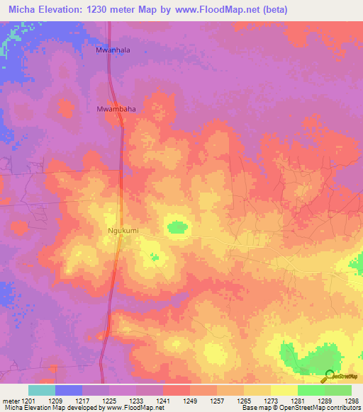 Micha,Tanzania Elevation Map