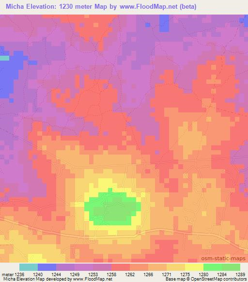 Micha,Tanzania Elevation Map