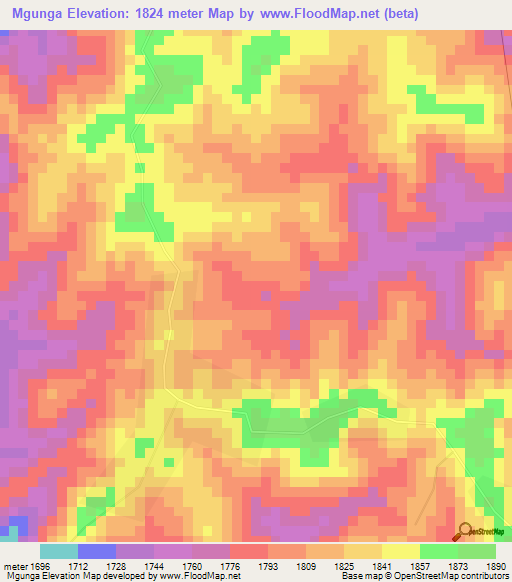 Mgunga,Tanzania Elevation Map