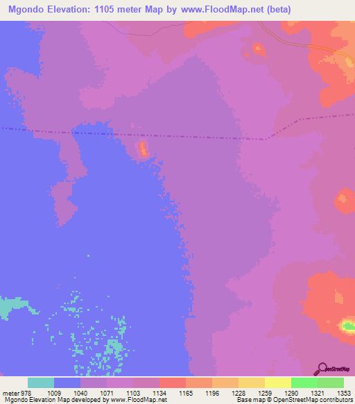 Mgondo,Tanzania Elevation Map