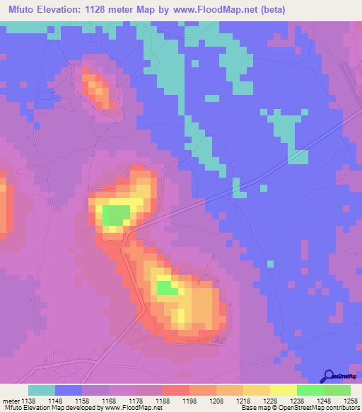 Mfuto,Tanzania Elevation Map