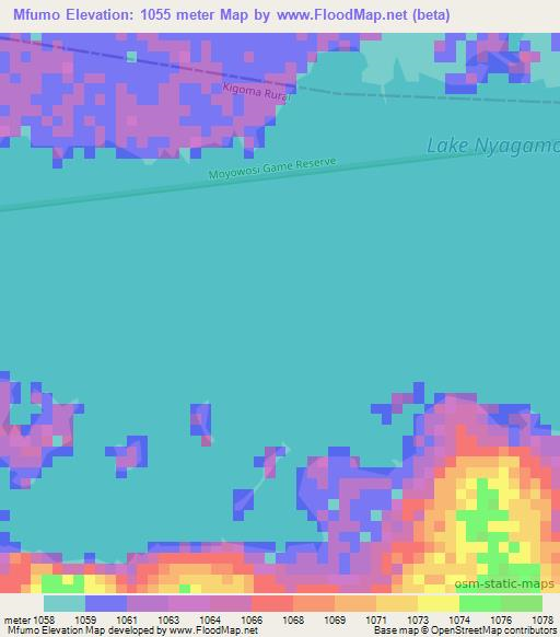 Mfumo,Tanzania Elevation Map