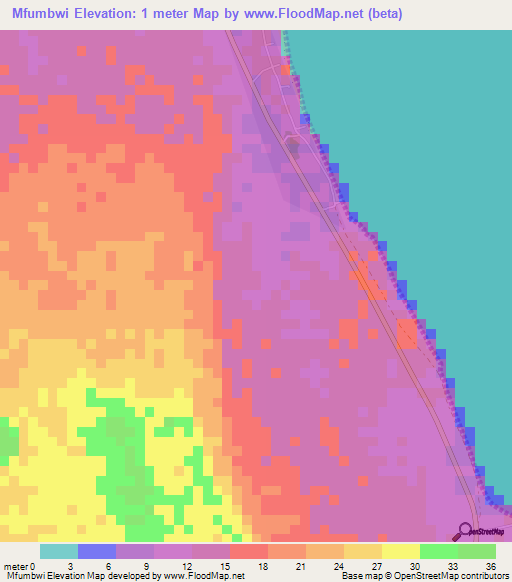 Mfumbwi,Tanzania Elevation Map