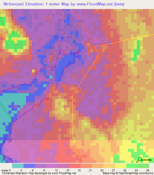 Mchenzani,Tanzania Elevation Map