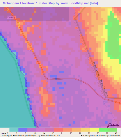 Mchangani,Tanzania Elevation Map