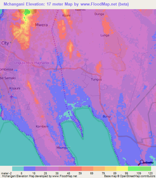 Mchangani,Tanzania Elevation Map