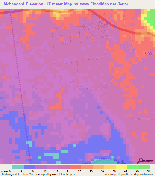 Mchangani,Tanzania Elevation Map