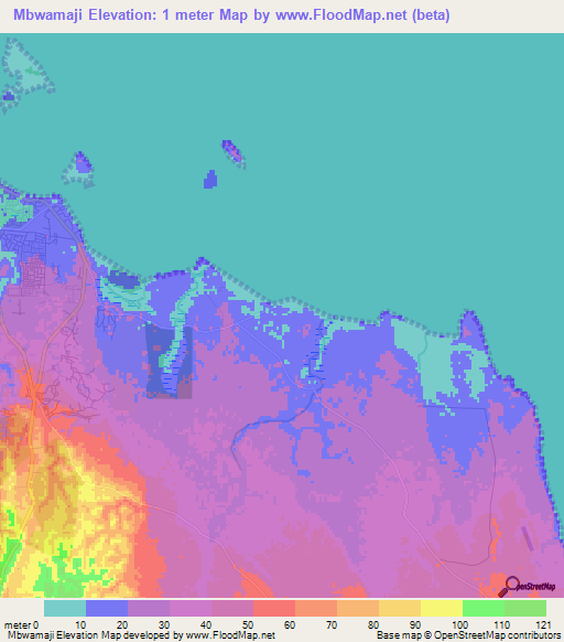 Mbwamaji,Tanzania Elevation Map