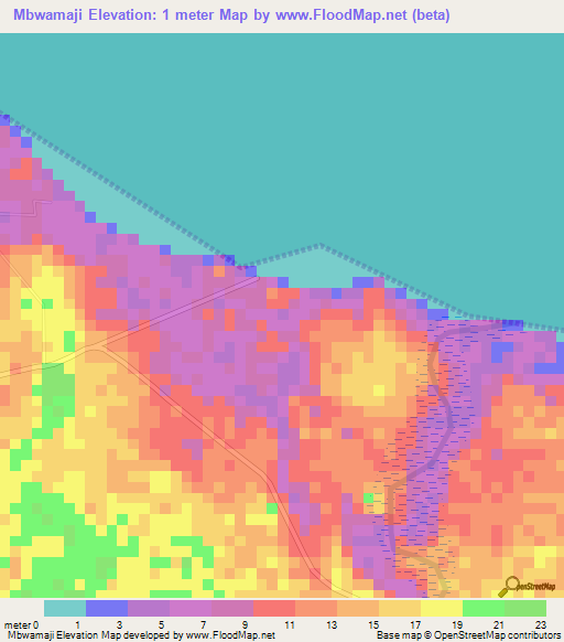 Mbwamaji,Tanzania Elevation Map