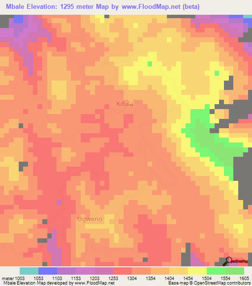 Mbale,Tanzania Elevation Map