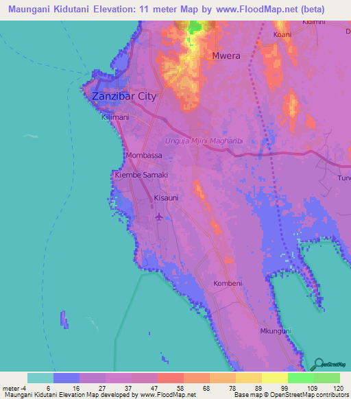 Maungani Kidutani,Tanzania Elevation Map