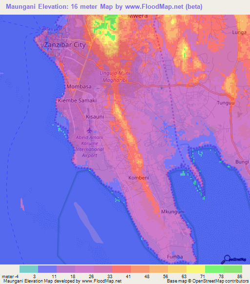 Maungani,Tanzania Elevation Map