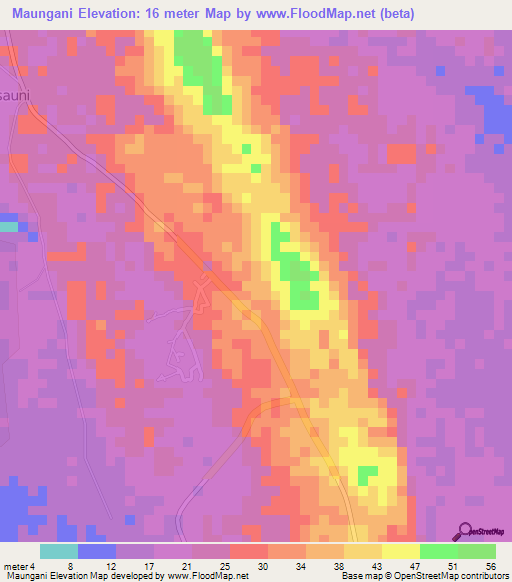 Maungani,Tanzania Elevation Map