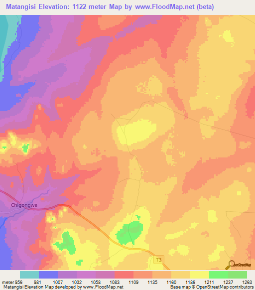 Matangisi,Tanzania Elevation Map