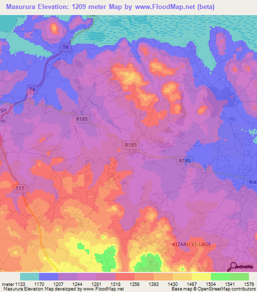 Masurura,Tanzania Elevation Map