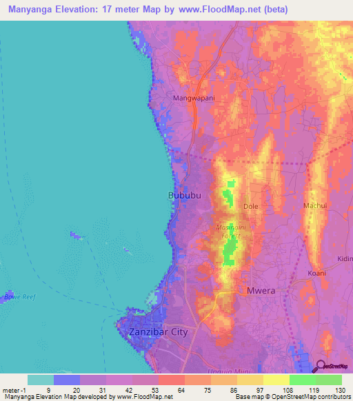 Manyanga,Tanzania Elevation Map