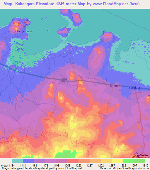 Magu Kahangara,Tanzania Elevation Map