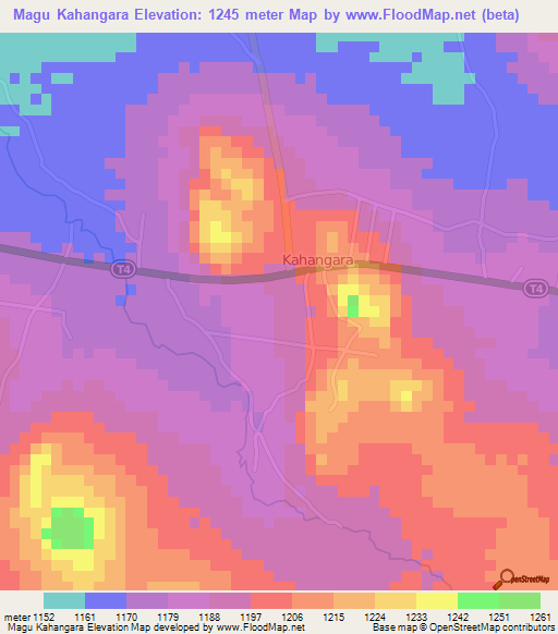 Magu Kahangara,Tanzania Elevation Map