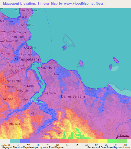 Magogoni,Tanzania Elevation Map