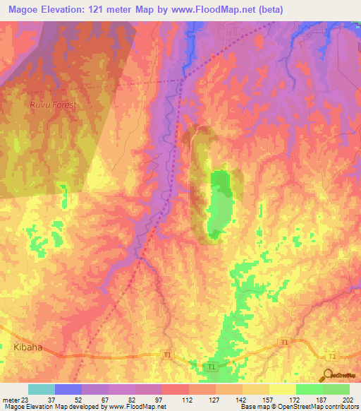 Magoe,Tanzania Elevation Map