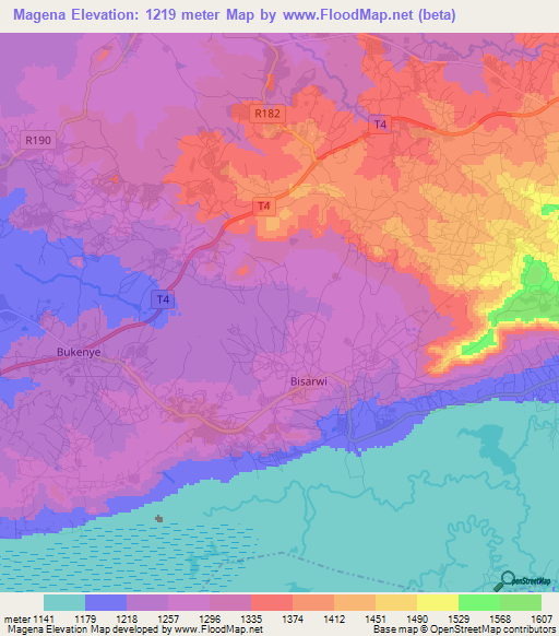 Magena,Tanzania Elevation Map