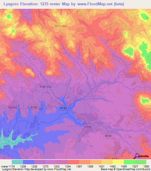 Lyagoro,Tanzania Elevation Map